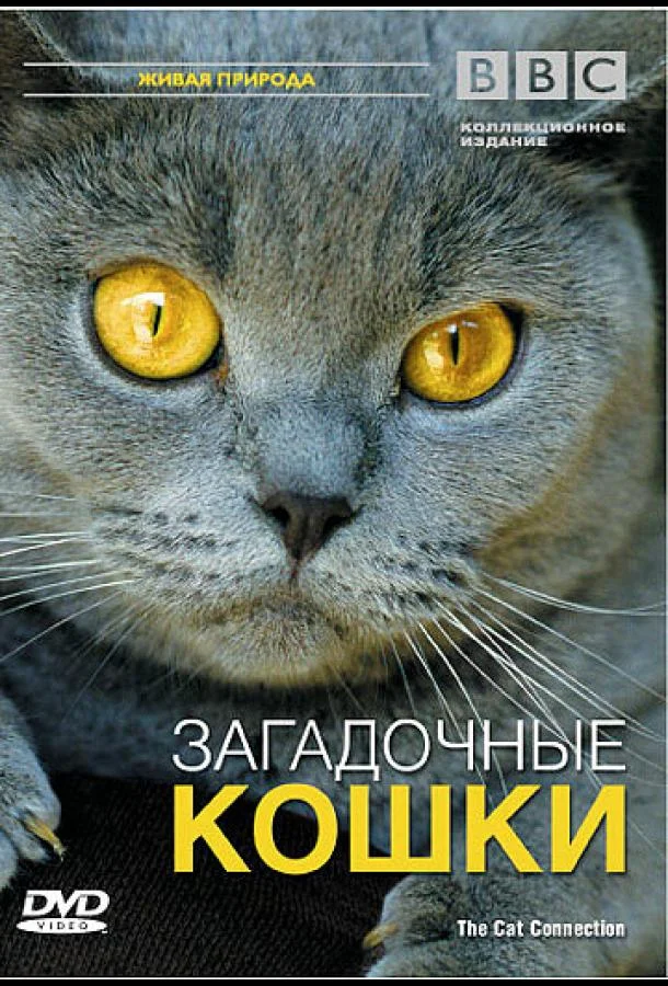 Смотреть Фильм BBC: Загадочные кошки(2002) бесплатно